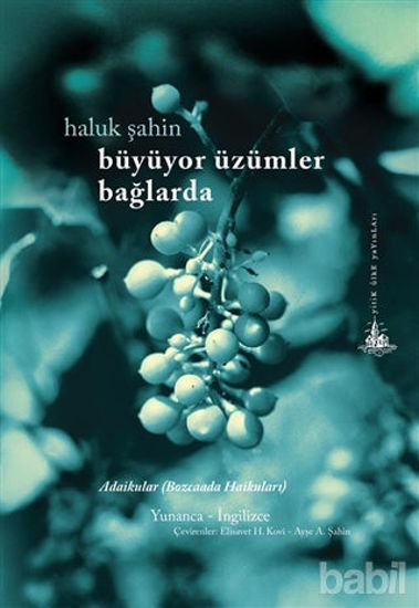 Picture of Büyüyor Üzümler Bağlarda