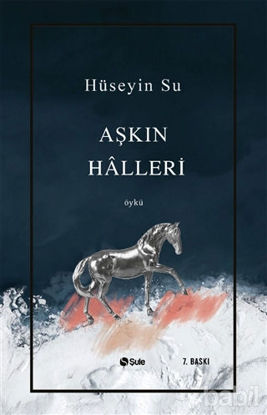 Picture of Aşkın Halleri