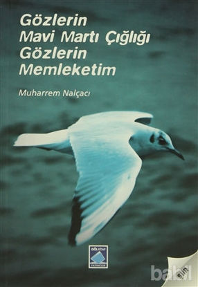 Picture of Gözlerin Mavi Martı Çığlığı Gözlerin Memleketim