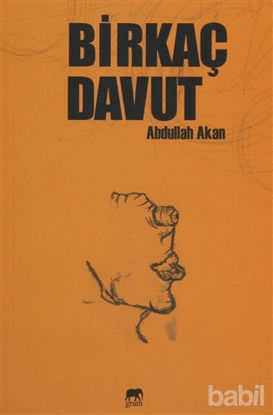 Picture of Birkaç Davut