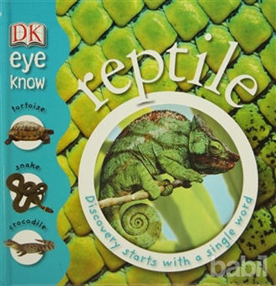 Picture of Reptile