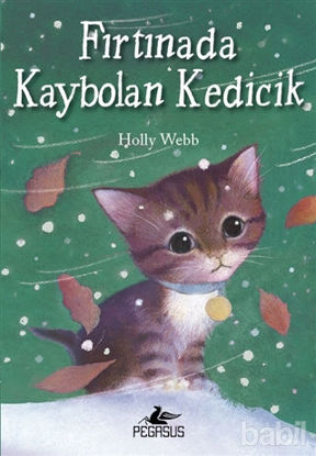 Picture of Fırtınada Kaybolan Kedicik