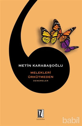 Picture of Melekleri Ürkütmeden