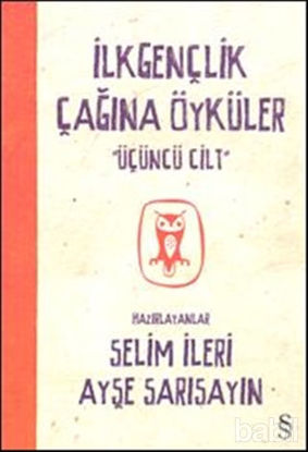 Picture of İlkgençlik Çağına Öyküler 3. Cilt