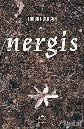 Picture of Nergis