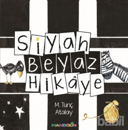 Picture of Siyah Beyaz Hikaye