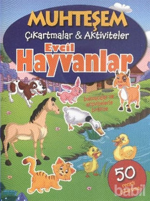 Picture of Muhteşem Çıkartmalar ve Aktiviteler : Evcil Hayvanlar
