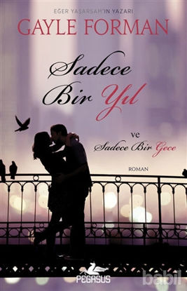 Picture of Sadece Bir Yıl ve Sadece Bir Gece