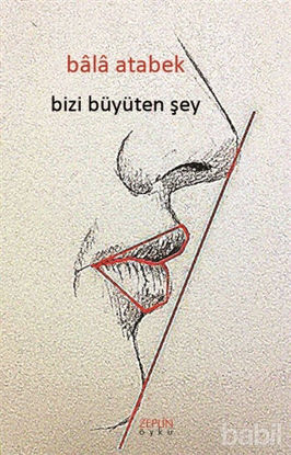 Picture of Bizi Büyüten Şey