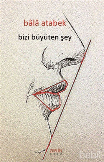 Picture of Bizi Büyüten Şey