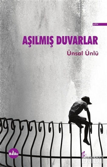 Picture of Aşılmış Duvarlar