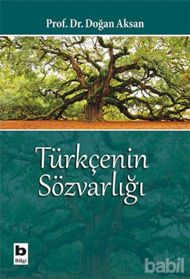 Picture of Türkçenin Sözvarlığı