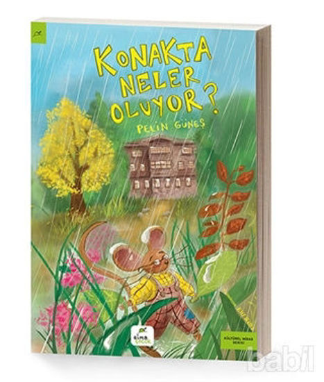 Picture of Konakta Neler Oluyor?