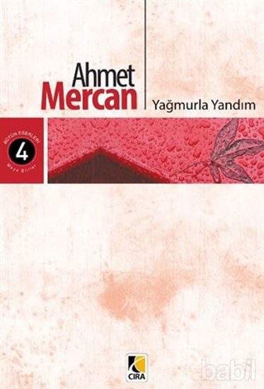 Picture of Yağmurla Yandım
