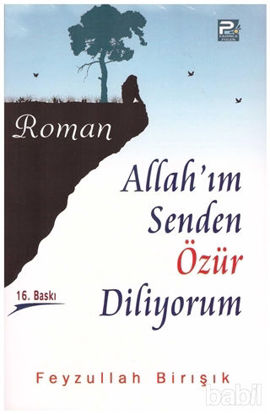 Picture of Allah’ım Senden Özür Diliyorum