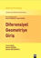 Picture of Diferensiyel Geometriye Giriş