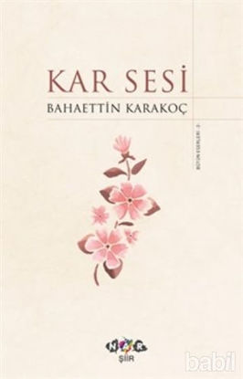 Picture of Kar Sesi