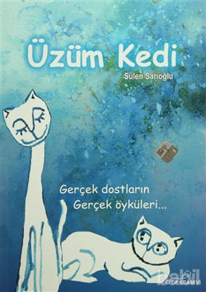 Picture of Üzüm Kedi