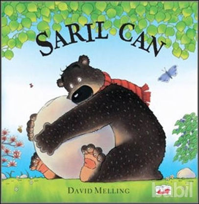 Picture of Sarıl Can