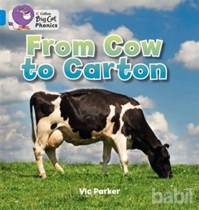 Picture of From Cow to Carton (Big Cat Phonics-4 Blue)