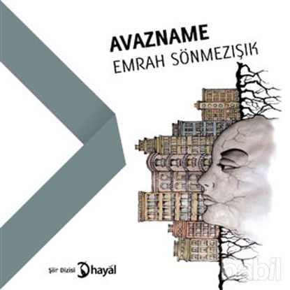 Picture of Avazname