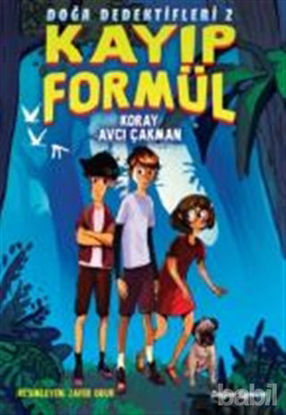 Picture of Kayıp Formül