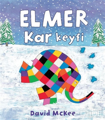 Picture of Elmer Kar Keyfi