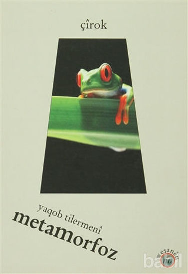 Picture of Metamorfoz