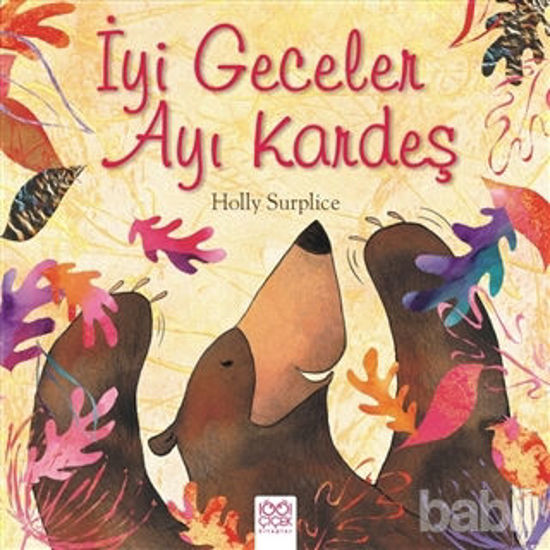 Picture of İyi Geceler Ayı Kardeş