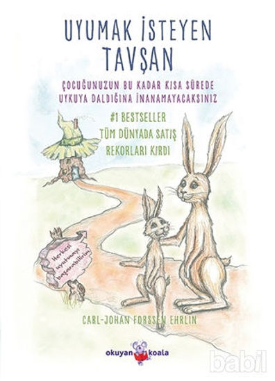 Picture of Uyumak İsteyen Tavşan