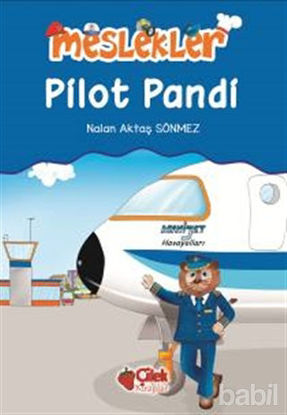 Picture of Pilot Pandi