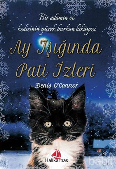 Picture of Ay Işığında Pati İzleri