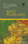 Picture of Kent Planlama