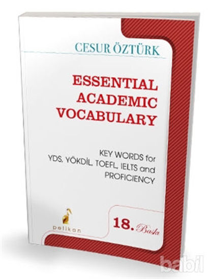 Picture of Essential Academic Vocabulary