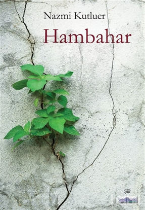 Picture of Hambahar
