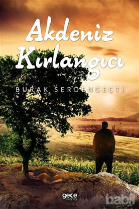 Picture of Akdeniz Kırlangıcı