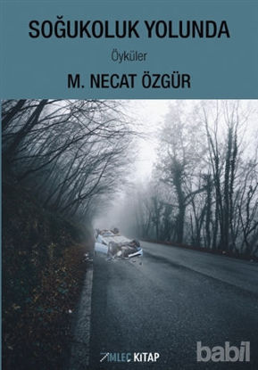 Picture of Soğukoluk Yolunda