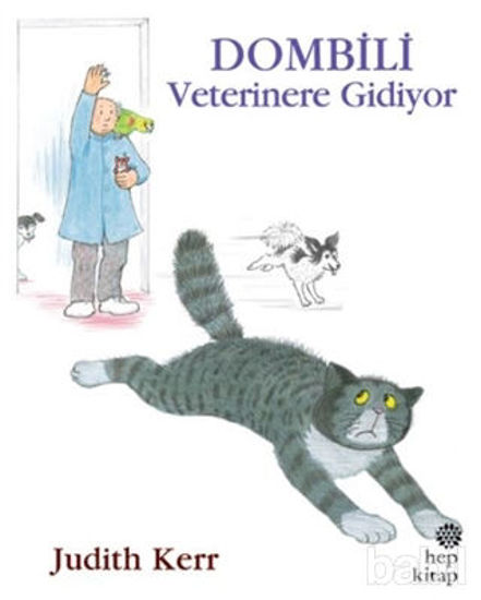 Picture of Dombili Veterinere Gidiyor