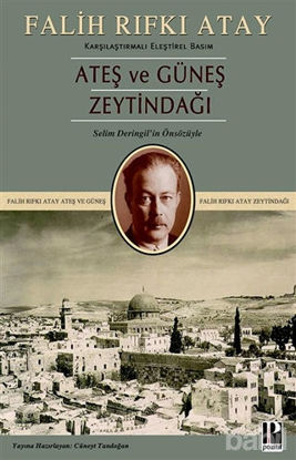Picture of Zeytindağı Ateş ve Güneş (Karşılaştırmalı Eleştirel Basım)