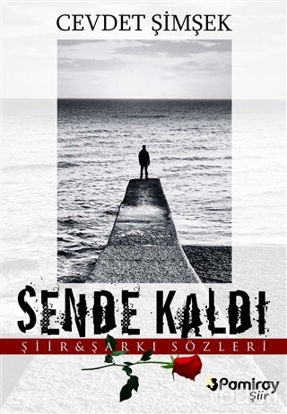Picture of Sende Kaldı