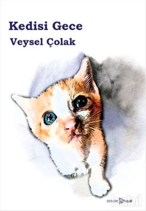 Picture of Kedisi Gece
