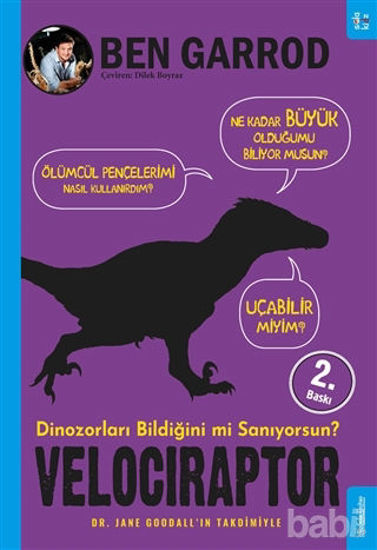 Picture of Velociraptor