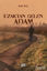 Picture of Uzaktan Gelen Adam