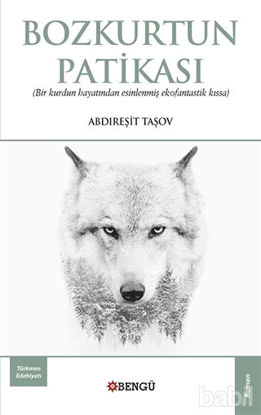 Picture of Bozkurtun Patikası