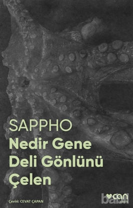 Picture of Nedir Gene Deli Gönlünü Çelen (Fotoğraflı Klasikler)