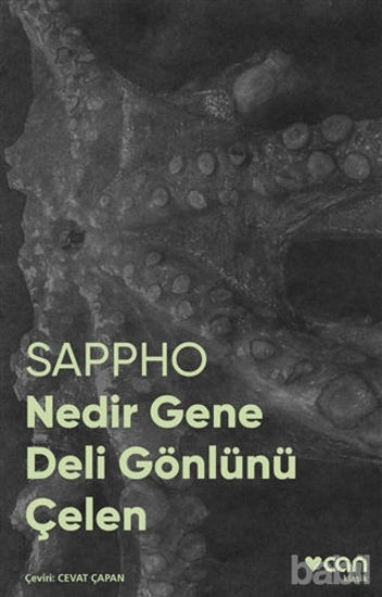 Picture of Nedir Gene Deli Gönlünü Çelen (Fotoğraflı Klasikler)