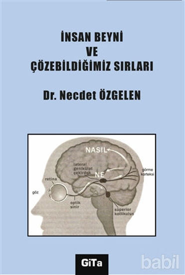 Picture of İnsan Beyni ve Çözebildiğimiz Sırları