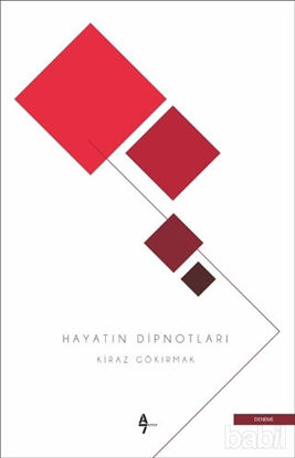 Picture of Hayatın Dipnotları