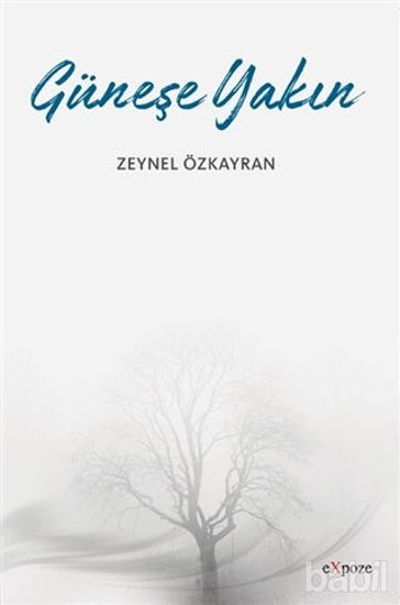 Picture of Güneşe Yakın