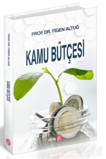 Picture of Kamu Bütçesi
